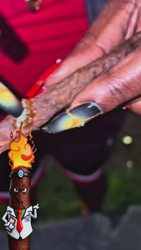 Video laden: 